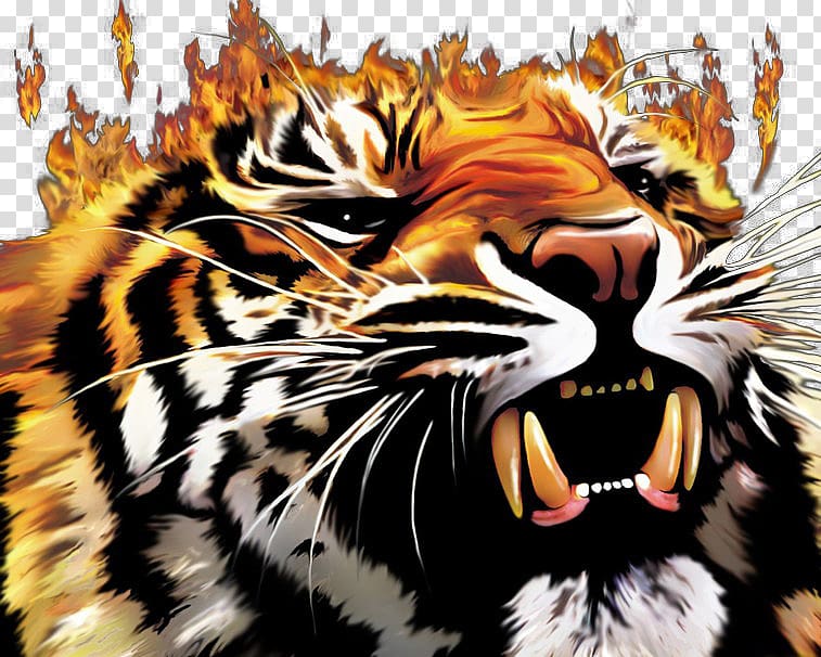 Tiger Fire Cat Lion , Burning tiger transparent background PNG clipart