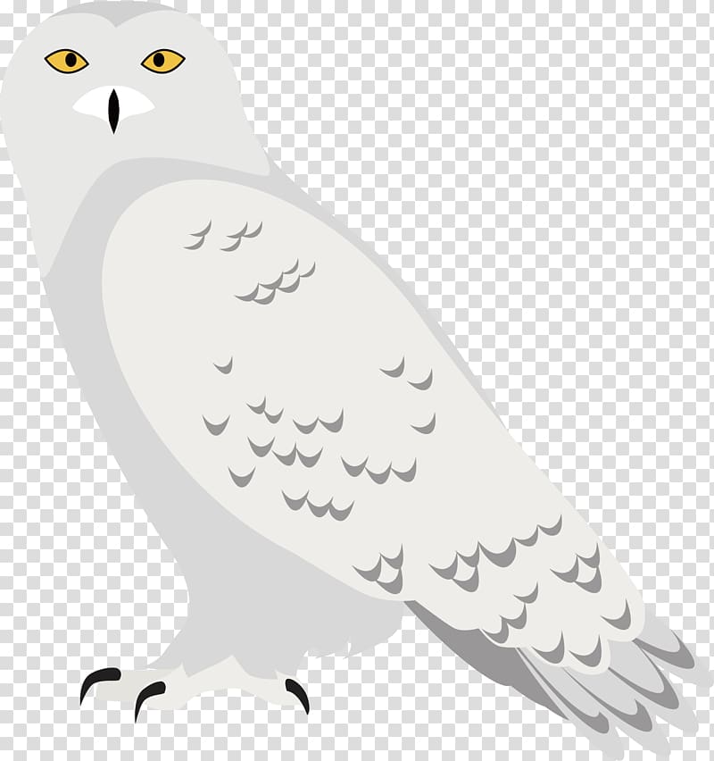 Euclidean Black and white, White Eagle transparent background PNG clipart