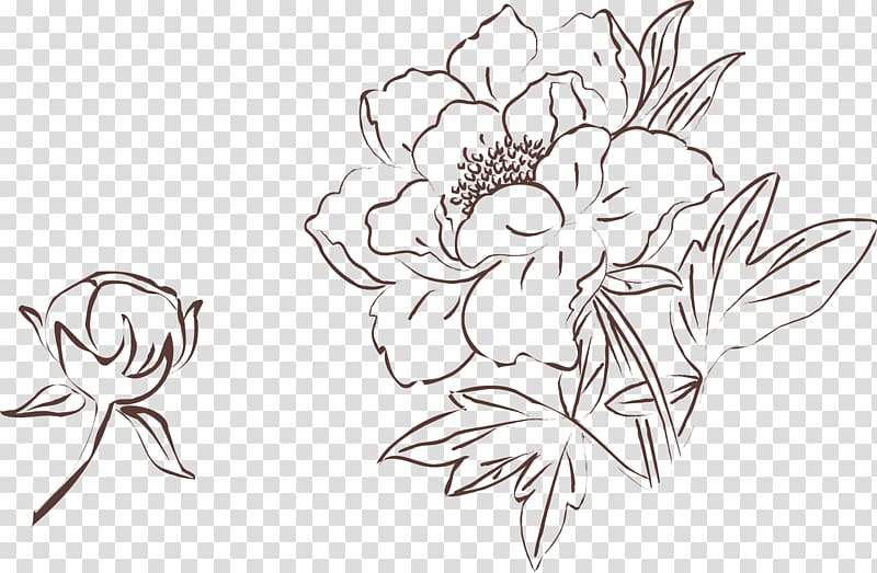 peony flower sketch illustration, Moutan peony Drawing Painting, Sketch of peony material transparent background PNG clipart