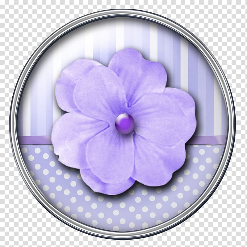 Drawer pull Nursery Polka Chest of drawers, purple flower transparent background PNG clipart