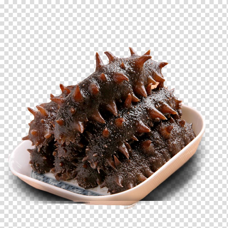 Shandong Sea cucumber as food Seafood, A sea cucumber transparent background PNG clipart