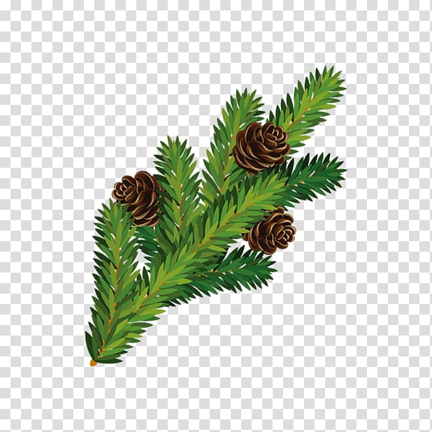 Pine Christmas tree Branch, Squirrel pineal transparent background PNG clipart