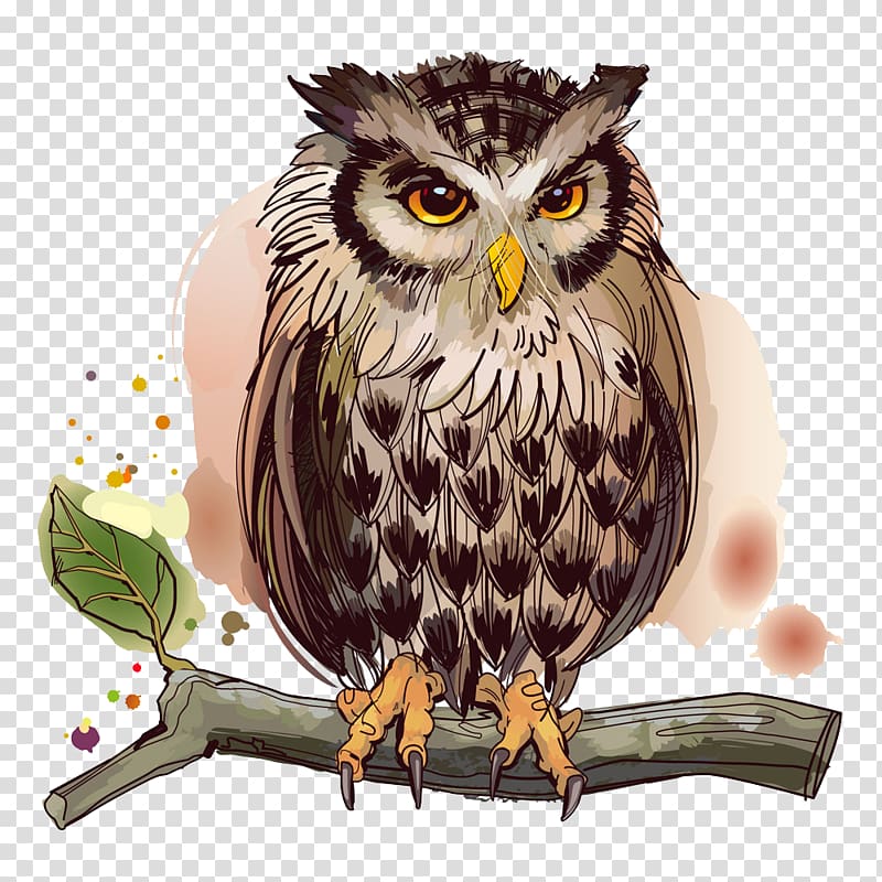 Owl Bird illustration Illustration, Owl on a tree branch transparent background PNG clipart