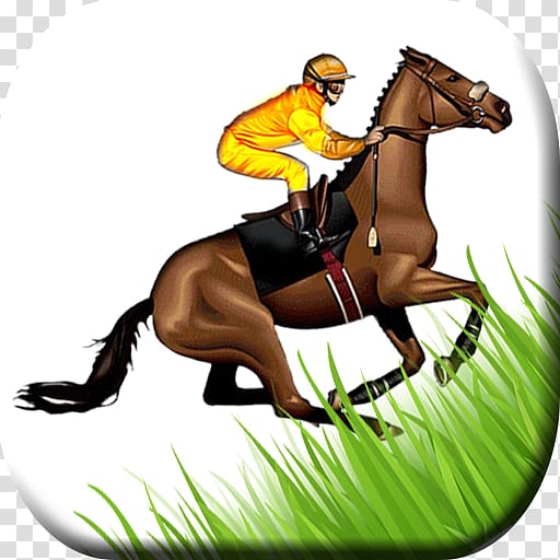 Hunt seat Mane Mustang Stallion Rein, mustang transparent background PNG clipart