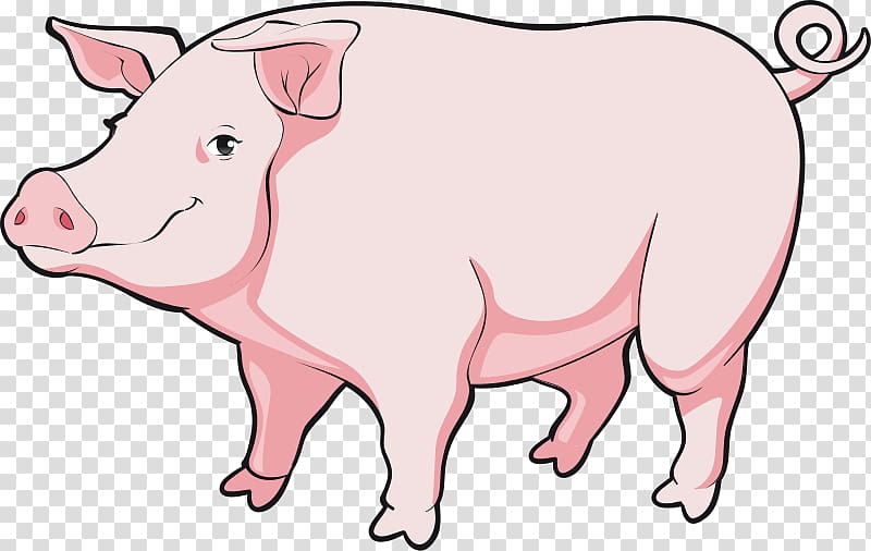 Pig Cartoon , boar transparent background PNG clipart