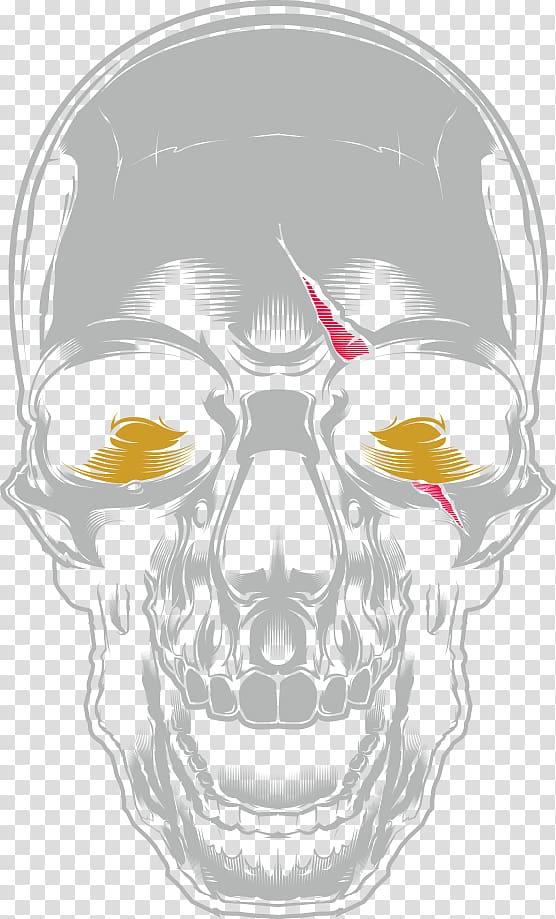 Visual arts Skull Illustration, horror marrow head transparent background PNG clipart