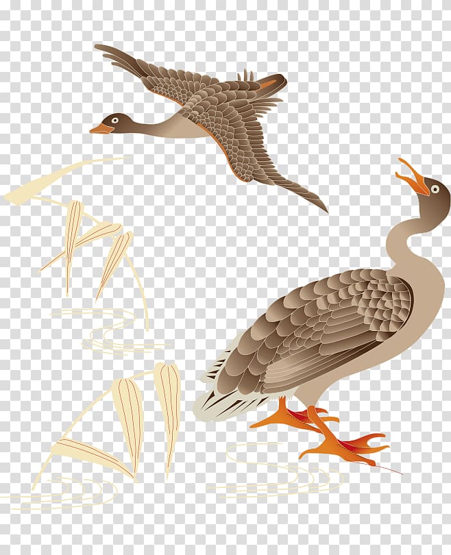 Duck Bird Mallard Sparrow, Cartoon painted ripples shoot flying bird transparent background PNG clipart