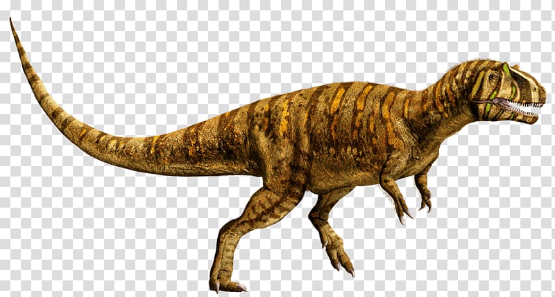 Metriacanthosaurus Suchomimus Microceratus Jurassic Park Baryonyx, dinosaurs transparent background PNG clipart