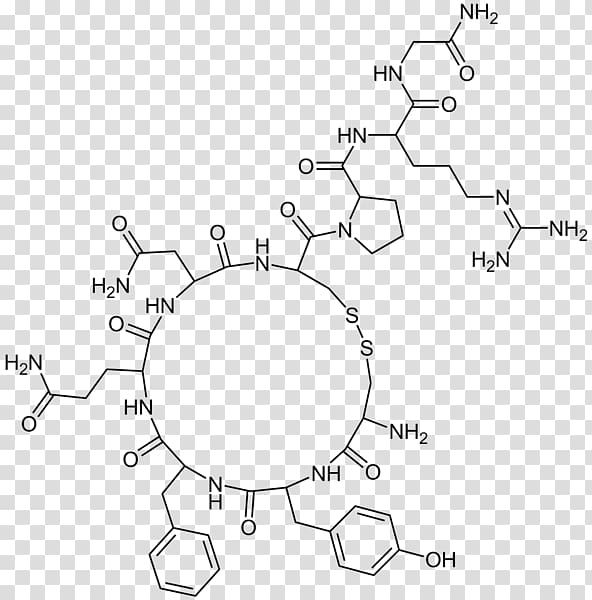 Vasopressin Antidiuretic Molecule Hormone Chemistry, Oxytocin transparent background PNG clipart