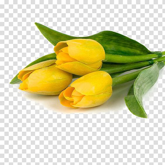 Tulip Flower bouquet Yellow Polyvore, tulip transparent background PNG clipart