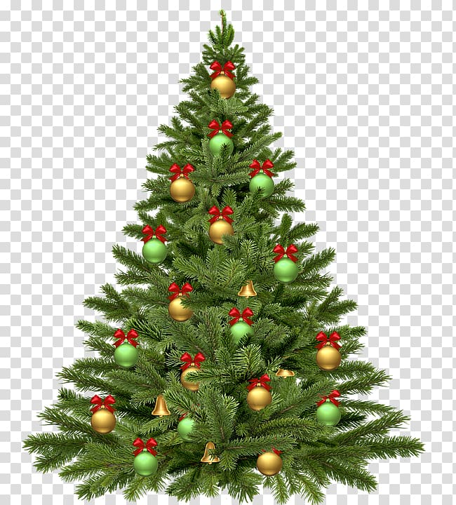 Christmas tree transparent background PNG clipart | HiClipart