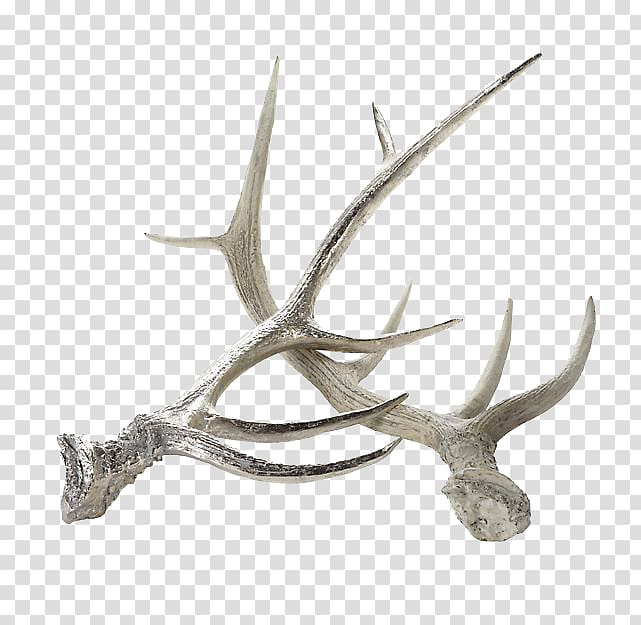 Red deer Moose Reindeer Antler, Silver galvanized double cross put antlers Home Decoration transparent background PNG clipart