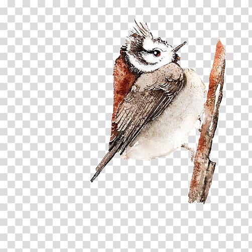 Bird Owl, Little Sparrow pecking FIG pull material Free transparent background PNG clipart