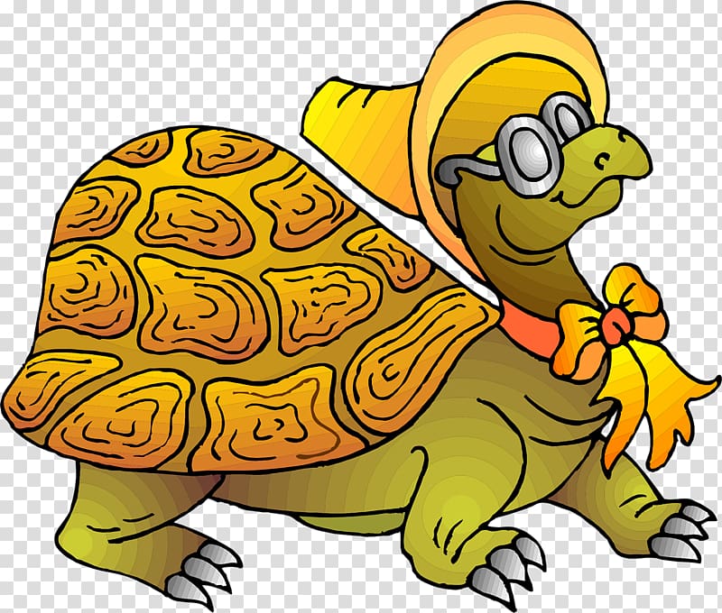 Turtle Les petites pensées humoristiques de Lapinou , turtle transparent background PNG clipart