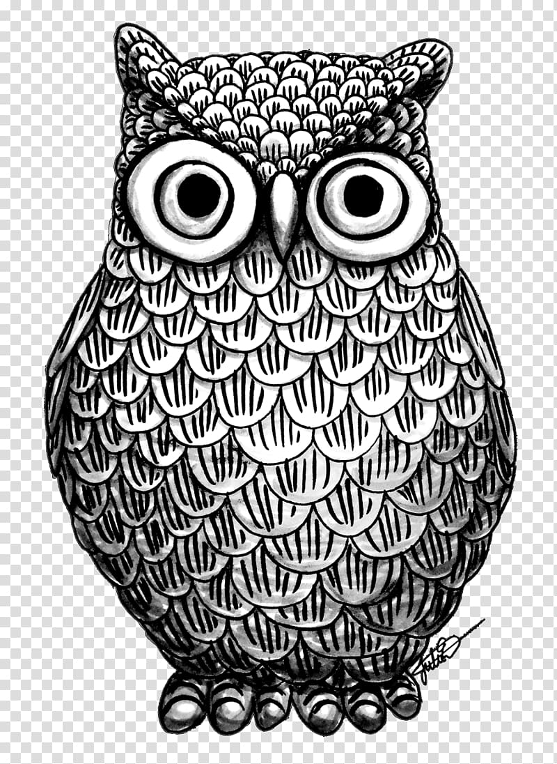Owl Drawing Art Coloring book, owl transparent background PNG clipart