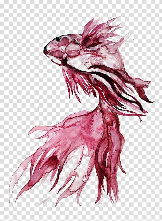 red fish , Koi Siamese fighting fish Carassius auratus Watercolor painting, Watercolor fish transparent background PNG clipart