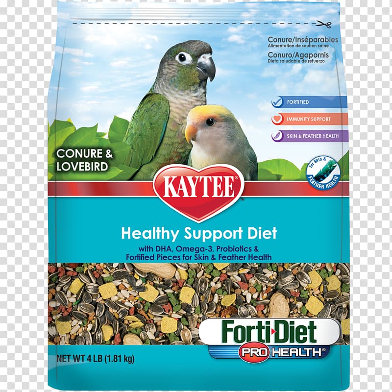 Parrot Lovebird Bird Food Cockatiel, parrot transparent background PNG clipart