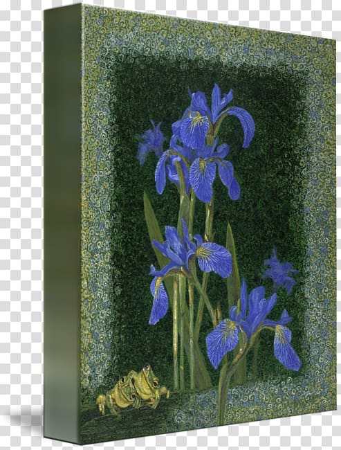 Irises Bellflower family Gallery wrap Art Printmaking, frog transparent background PNG clipart