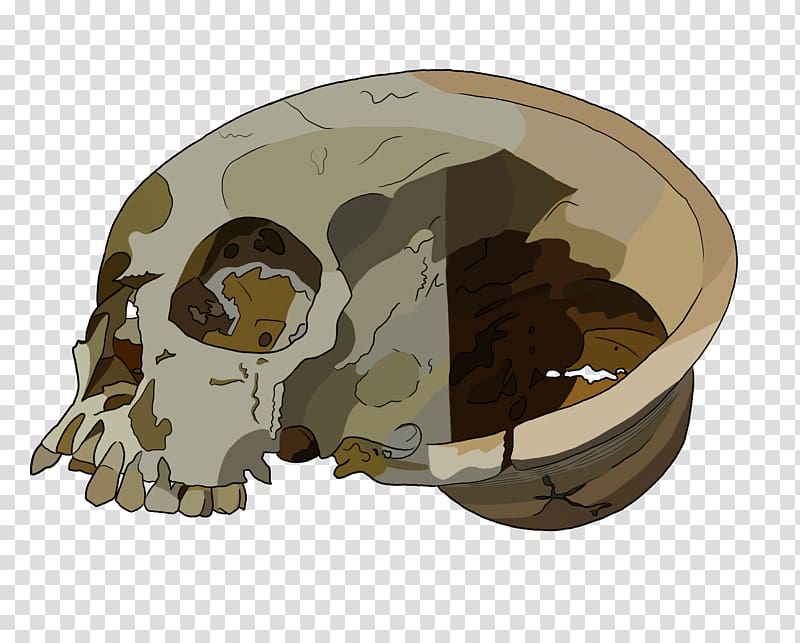 Bronze Age Achavanich Skull Burial Bone, others transparent background PNG clipart