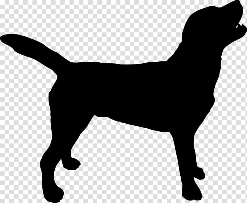silhouette of dog, Labrador Retriever Silhouette Puppy , dogs transparent background PNG clipart
