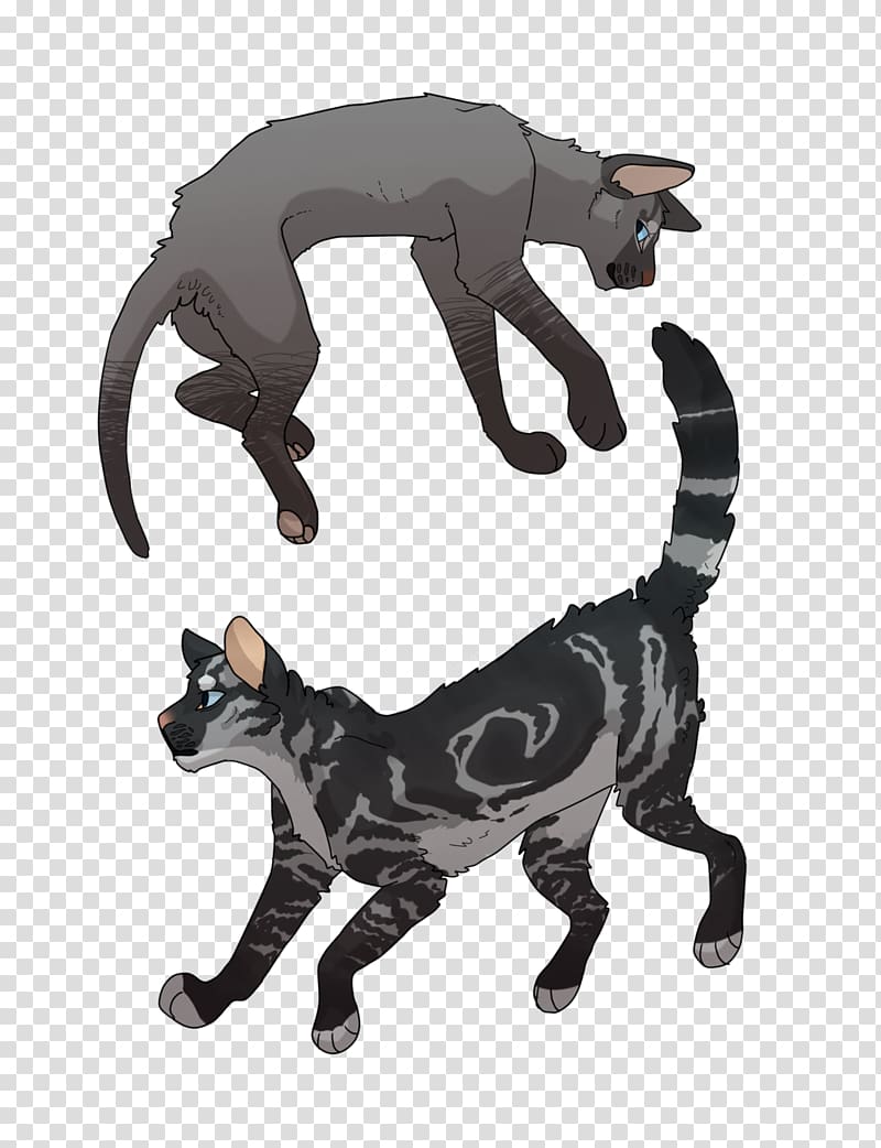 Cat coat genetics Digital art Warriors Drawing, Cat transparent background PNG clipart
