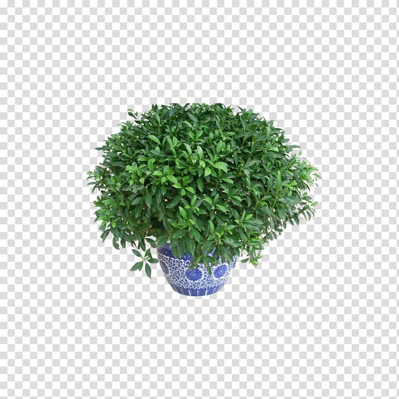 Grow light Flowerpot Houseplant Bonsai, Green leaves potted transparent background PNG clipart