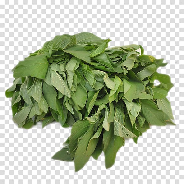 Basil Spinach Organic food Vegetable, vegetable transparent background PNG clipart