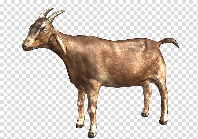 Goat transparent background PNG clipart
