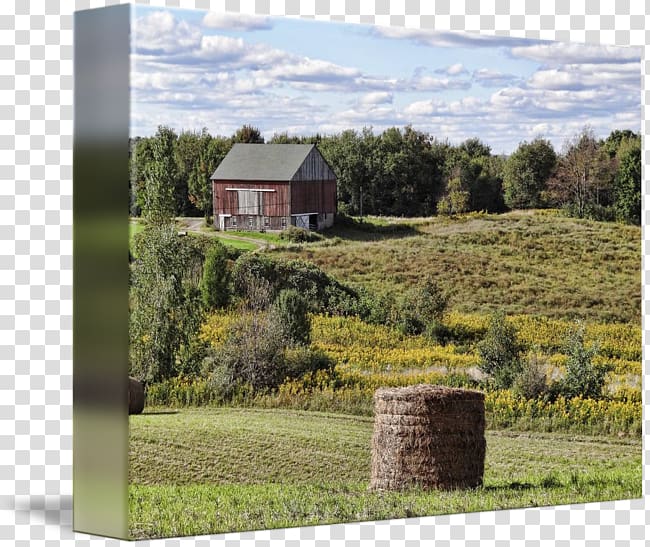 Landscape Farm Rural area Property Pasture, hay bale transparent background PNG clipart