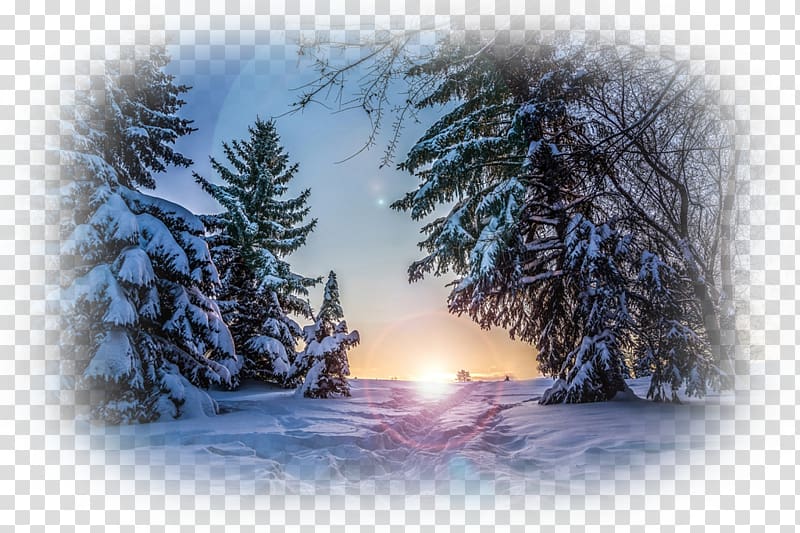 Desktop Winter Nature story Snow , NATURAL LANDSCAPE transparent background PNG clipart