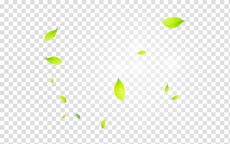 green mint leaf illustration, Line Point Angle Green Pattern, Leaves leaves sunlight effect transparent background PNG clipart