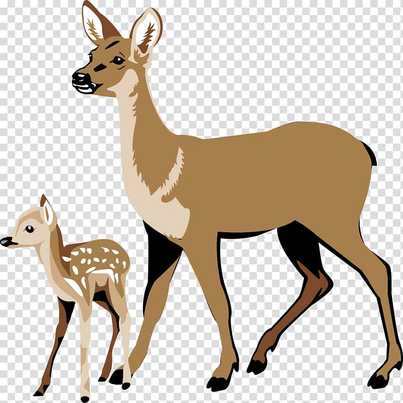 White-tailed deer Ecosystem Energy , deer transparent background PNG clipart