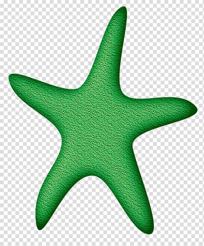 Starfish Echinoderm Line, starfish transparent background PNG clipart
