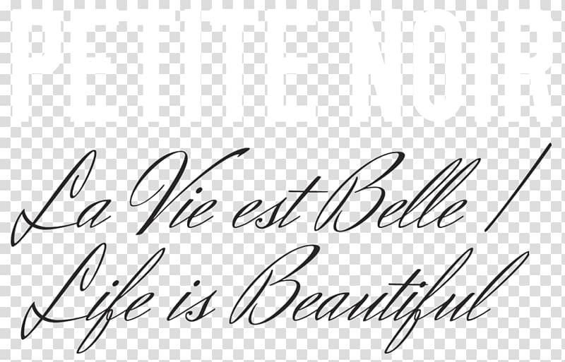 La Vie Est Belle / Life Is Beautiful Album Music Logo Font, La Vie Est ...