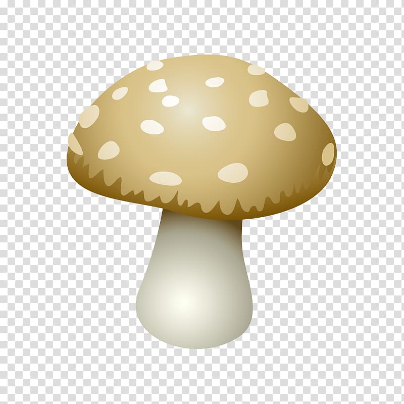 Edible mushroom Shiitake , mushroom,fungus transparent background PNG clipart
