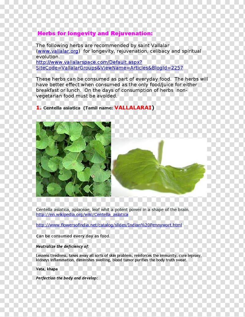 Herbalism Medicine Leaf Waterhyssop, Leaf transparent background PNG clipart