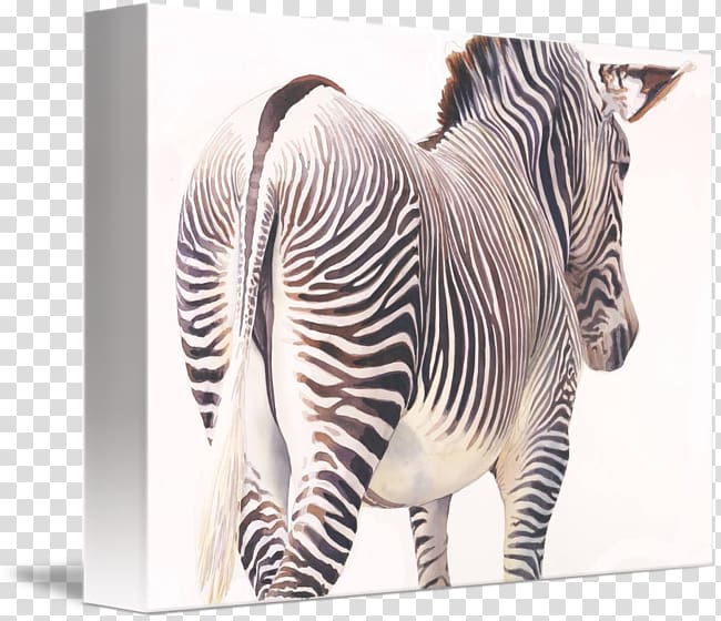 Quagga Neck Terrestrial animal Wildlife, others transparent background PNG clipart