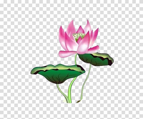 u756bu8377u82b1 Nelumbo nucifera Hand fan Ink wash painting, Rat painted green lotus leaf lotus flower material transparent background PNG clipart