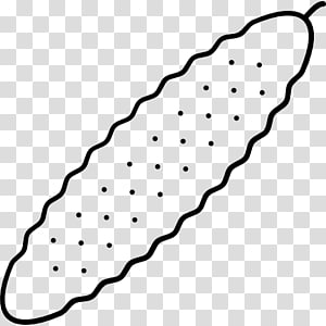 Line Point Angle Organism , line transparent background PNG clipart thumbnail