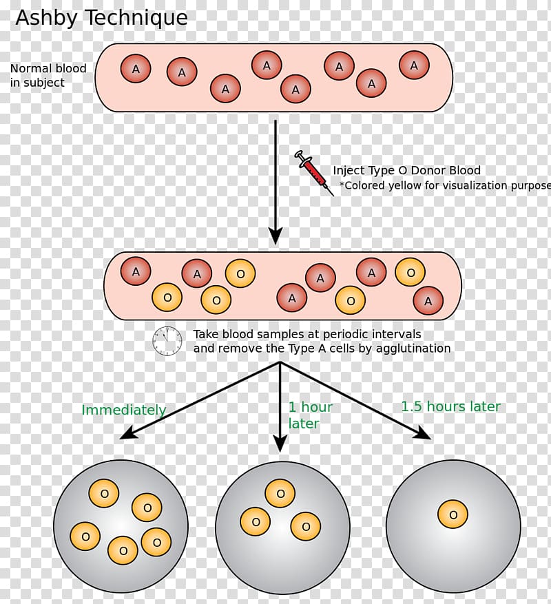 Ashby technique Hematology Red blood cell Blood donation, blood transparent background PNG clipart