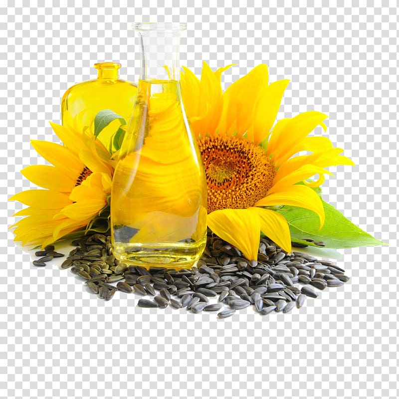 Common sunflower Sunflower oil Vegetable oil Sunflower seed, sunflower oil transparent background PNG clipart