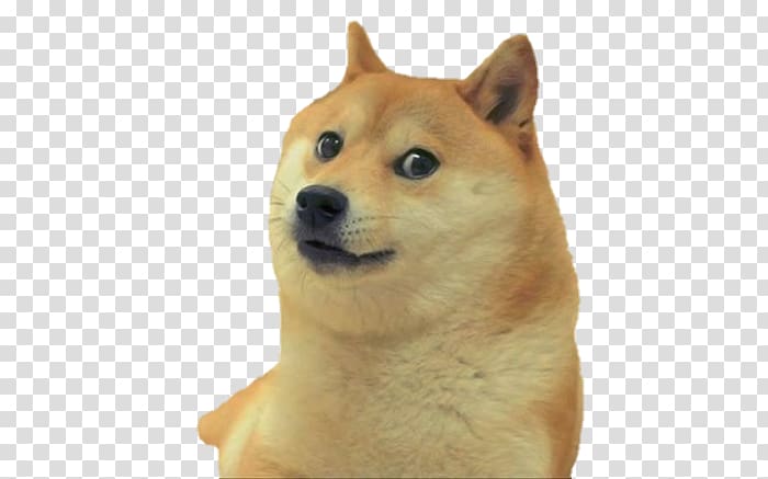 Shiba Inu Dogecoin Imgur, others transparent background PNG clipart