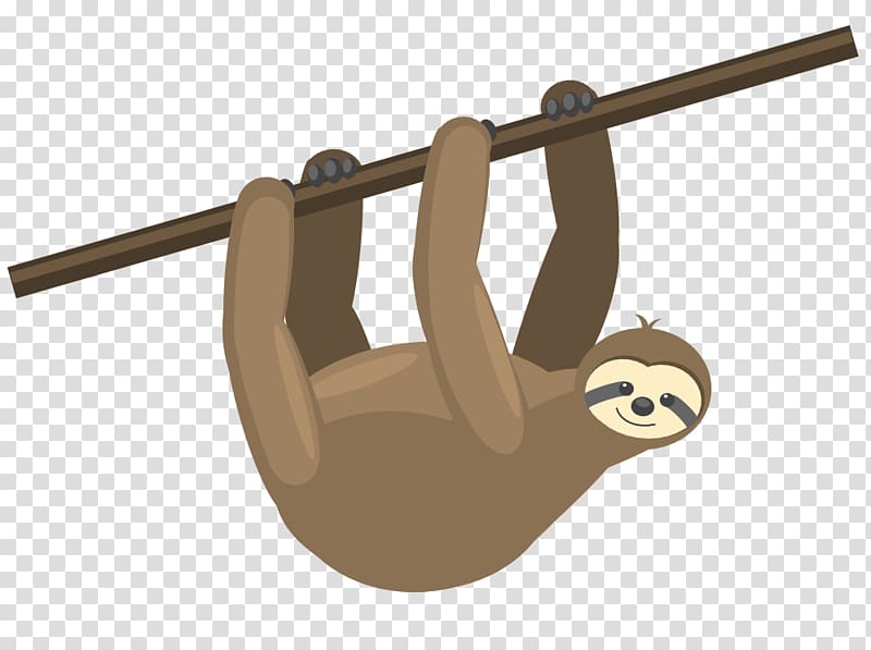 Sloth Video Animal English Language Cartoon, sloth hanging transparent background PNG clipart