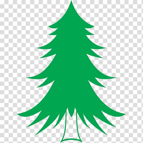 Spruce Pine Abies alba Christmas tree, tree transparent background PNG clipart