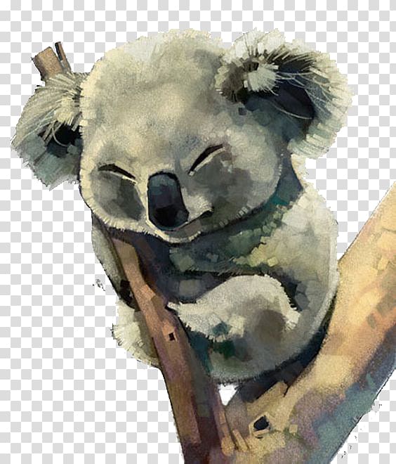 koala perching on tree branch, Australia Koala Watercolor painting, Koala transparent background PNG clipart