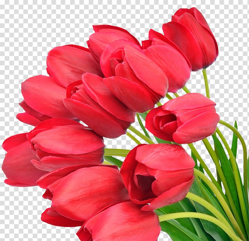 red flowers, Flower bouquet Rose Wedding , Bouquet flowers transparent background PNG clipart