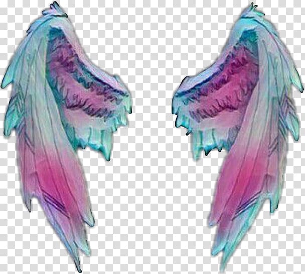 Sticker Wing Desktop , angel wings transparent background PNG clipart