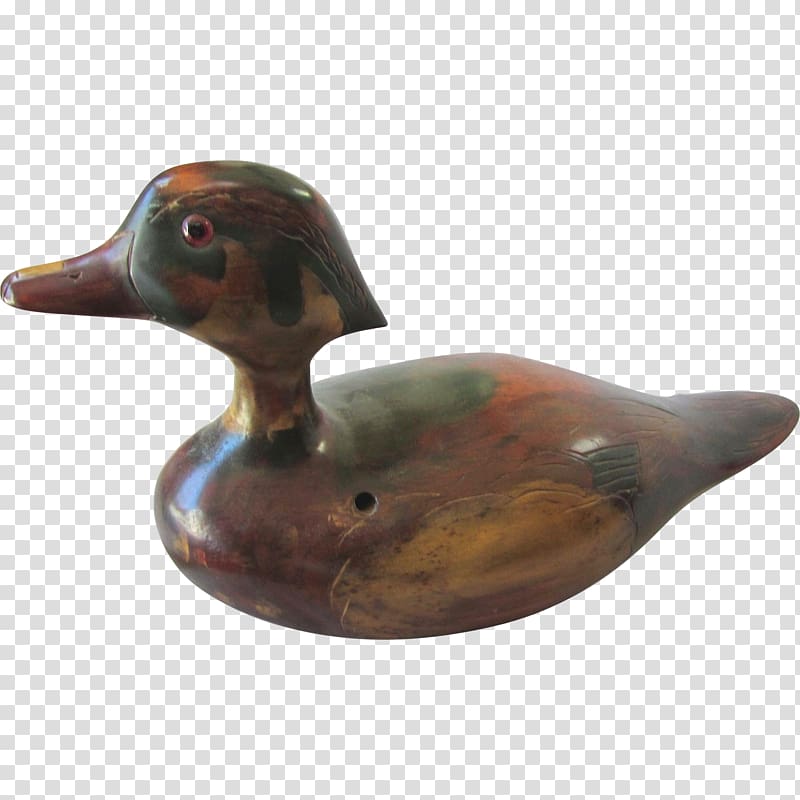 Mallard Duck Beak, duck transparent background PNG clipart Mallard Duck Beak, duck transparent background PNG clipart