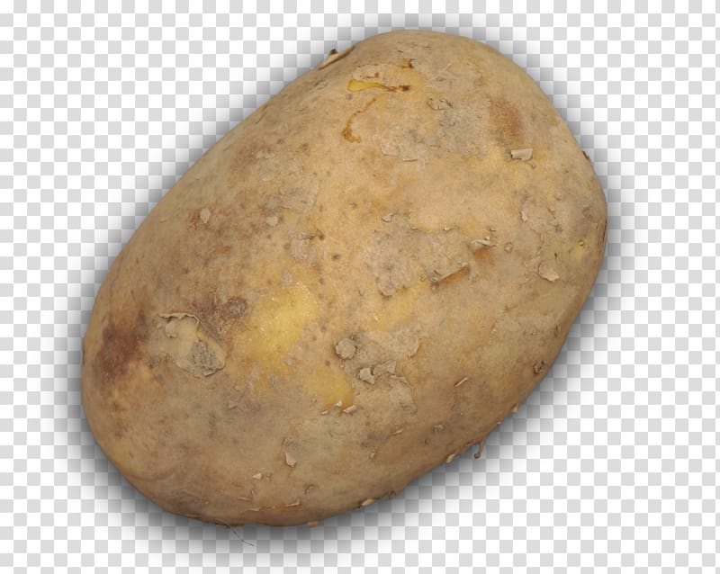 Russet Burbank Yukon Gold potato, potato transparent background PNG clipart