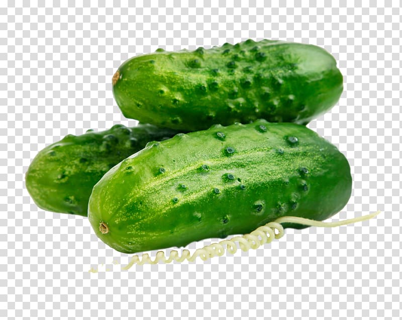Pickled cucumber Seed Parthenocarpy Auglis, cucumber transparent background PNG clipart